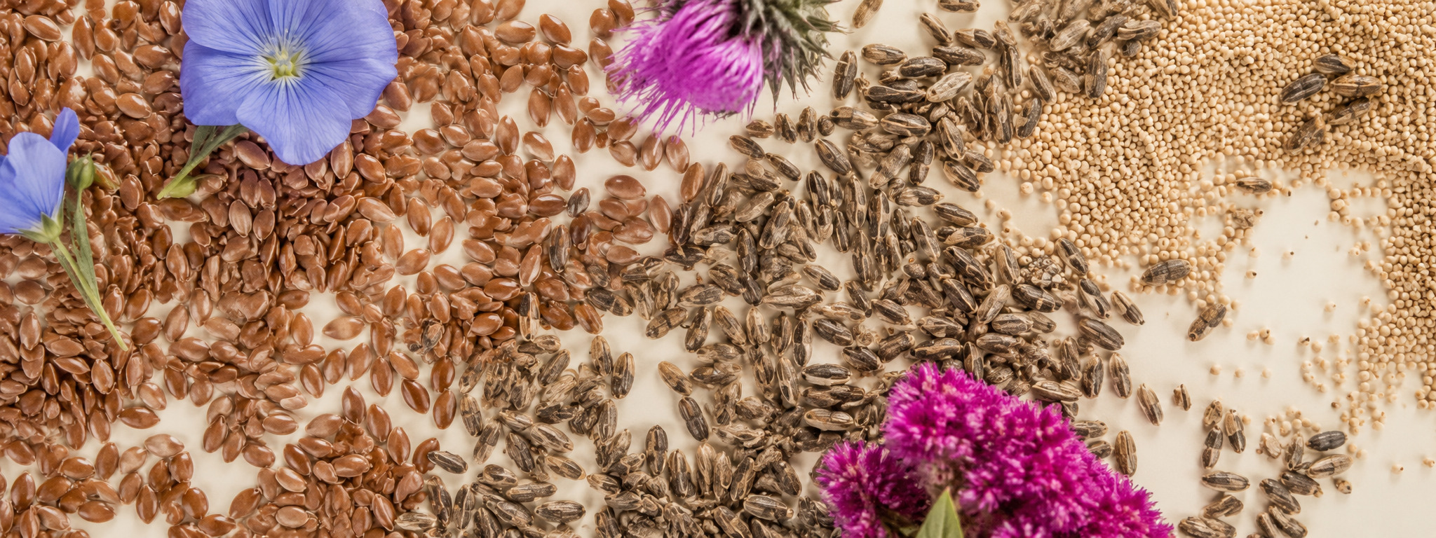 Салат